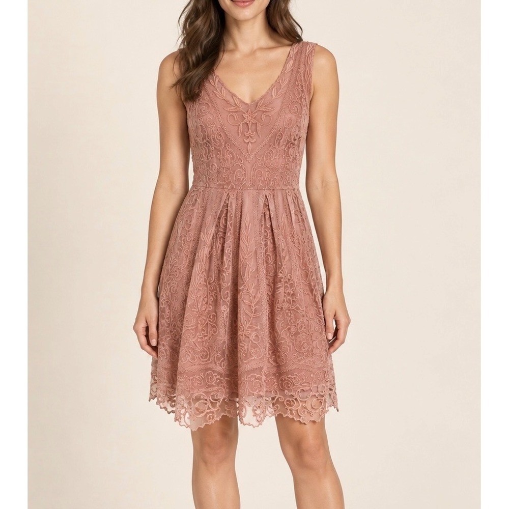 Anthropologie Baraschi Dress At Dusk Embroidered Lace Sleeveless Dusty Rose 10